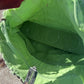 Close-up of a green jacket with a zipper, showing the interior lining.